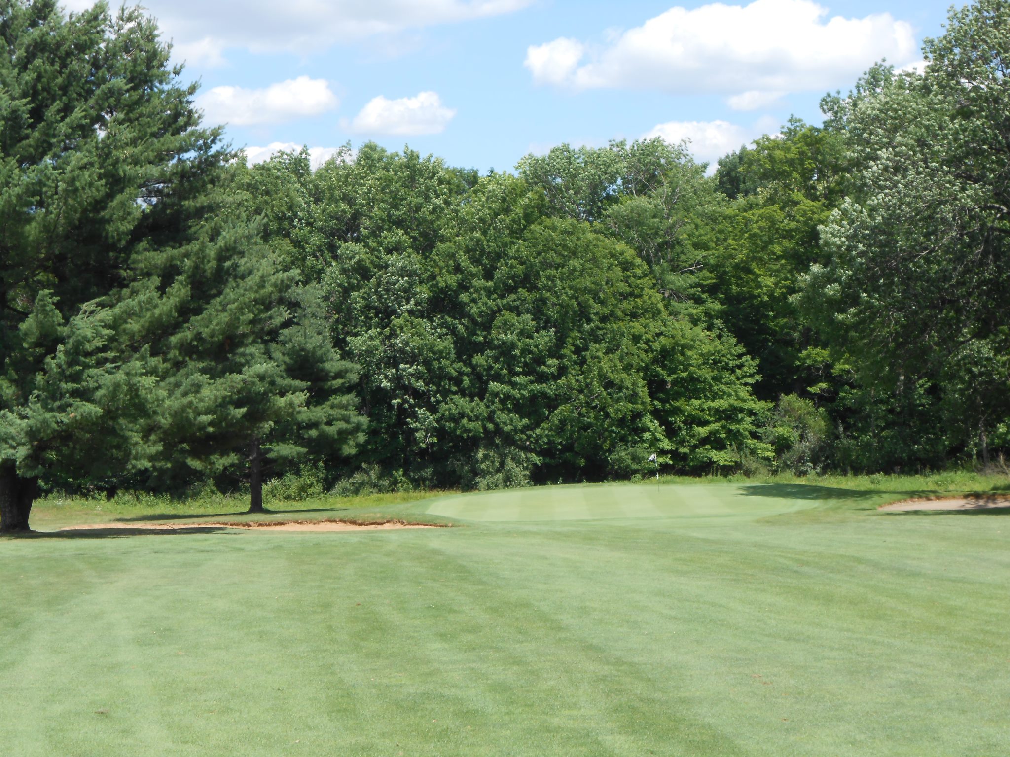 image of manicured course green with trees