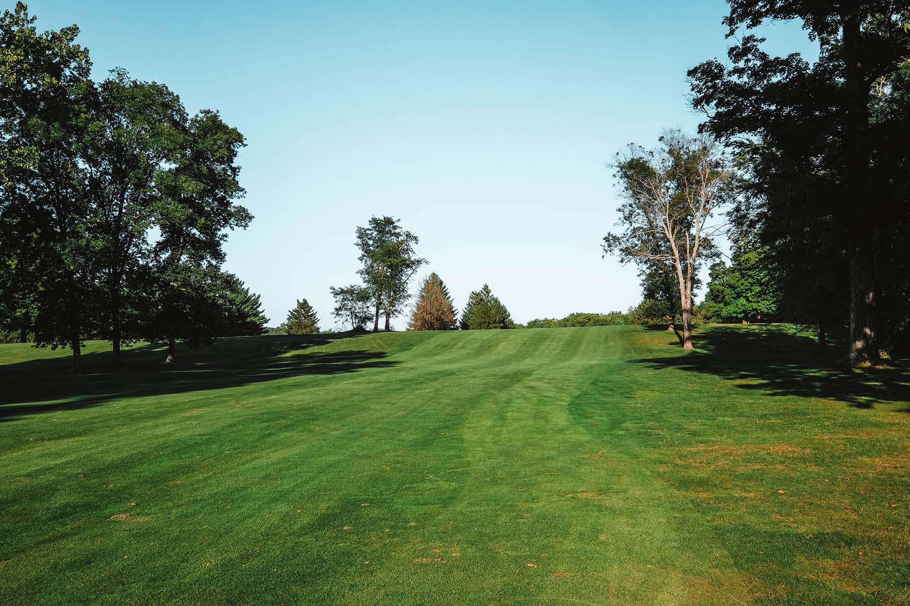 view of golf course green with trees in foreground